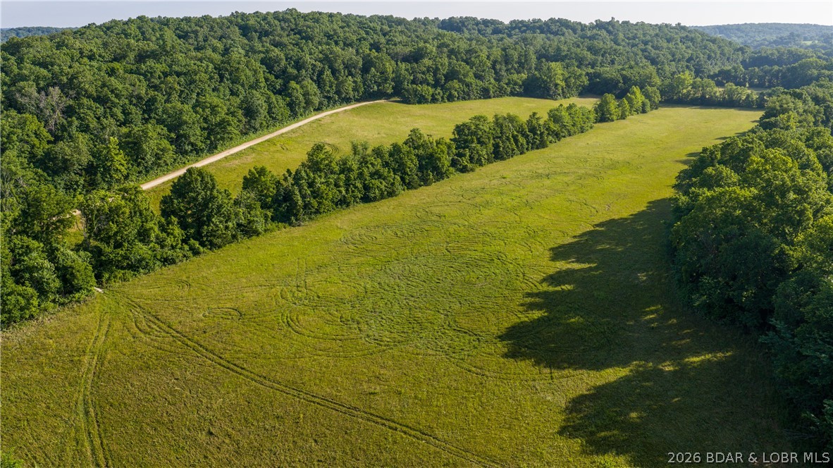 Tbd Witt Road Property Photo 4