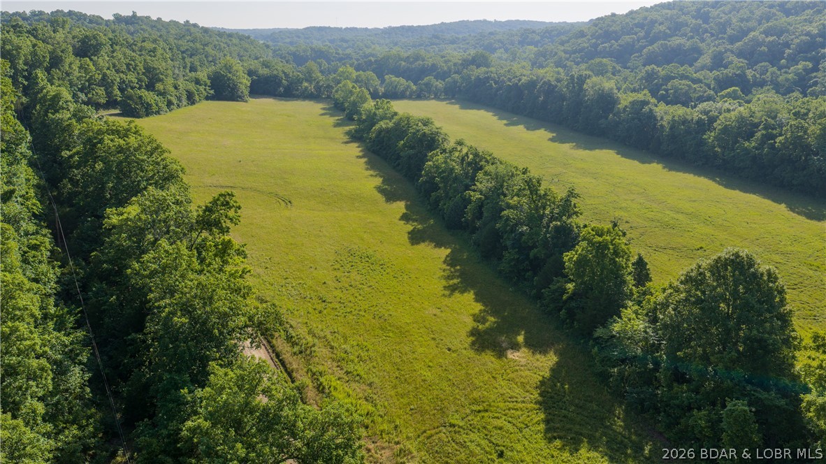 Tbd Witt Road Property Photo 5