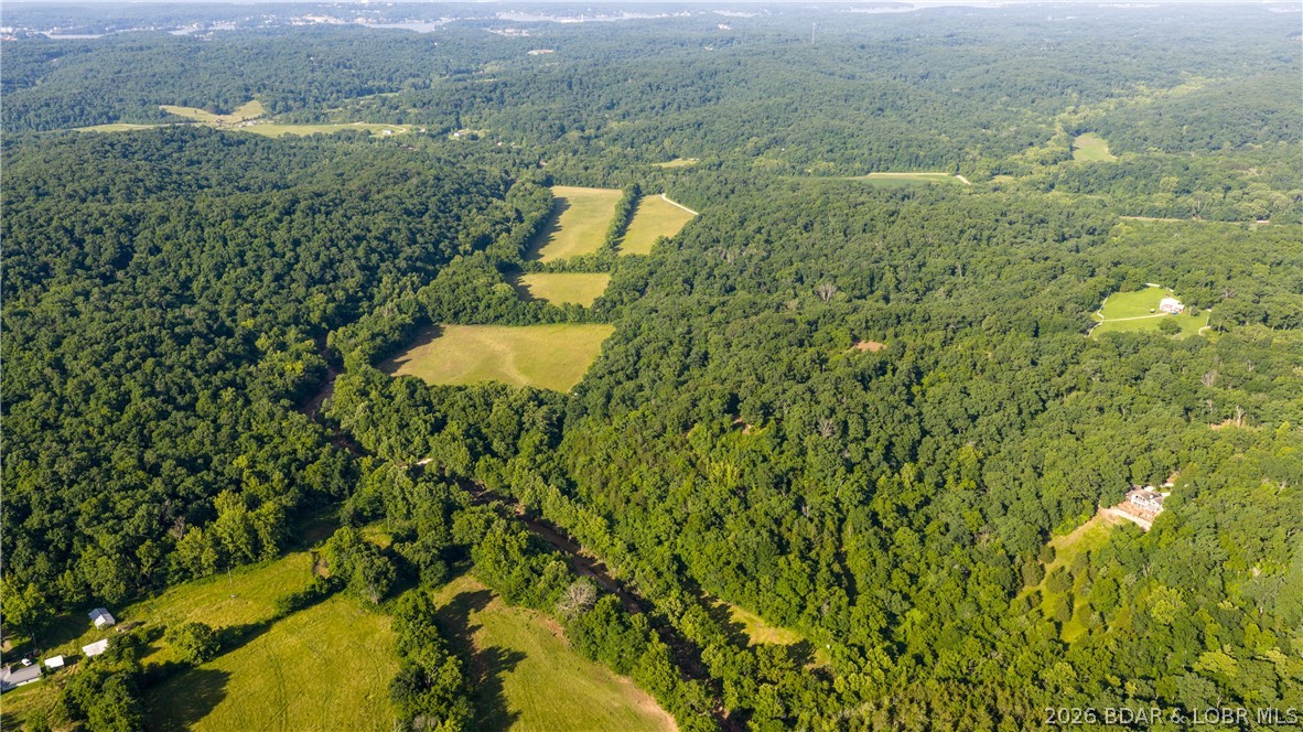 Tbd Witt Road Property Photo 9