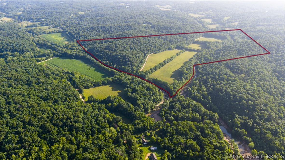 Tbd Witt Road Property Photo 13
