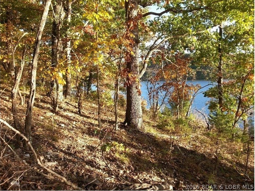 Tbd Indian Creek Point Property Photo 10