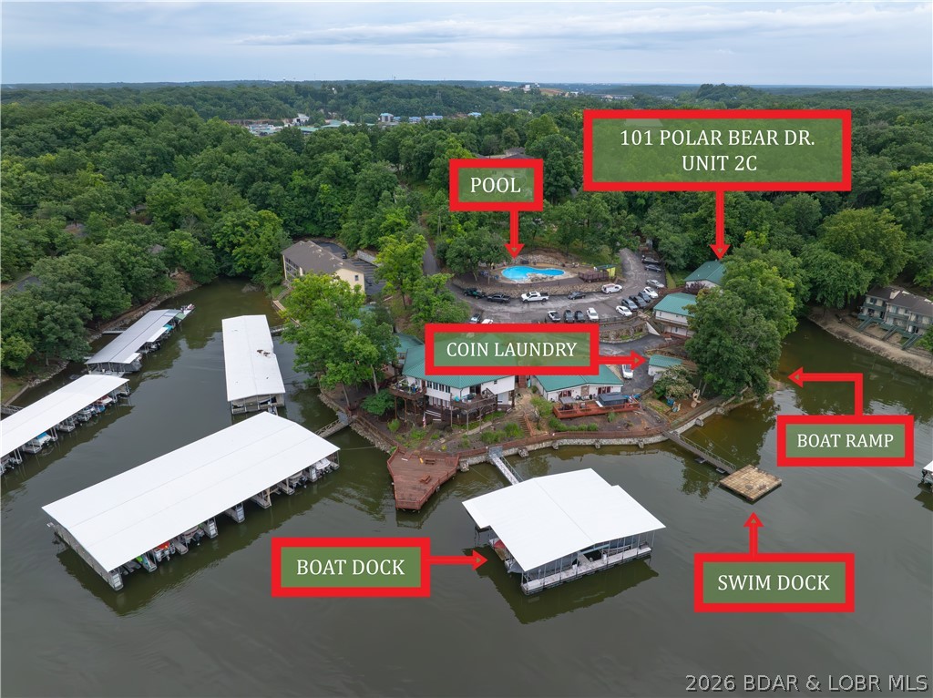 101 Polar Bear Circle 2C