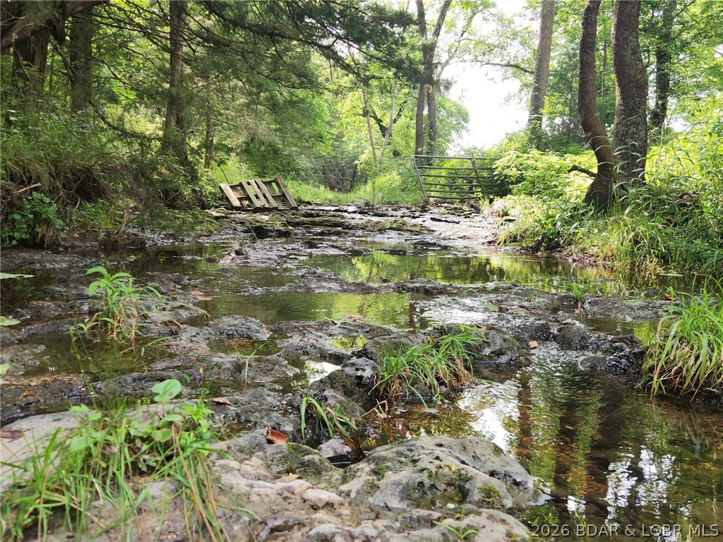 90 Acres M And M Ranch Lane Property Photo 1