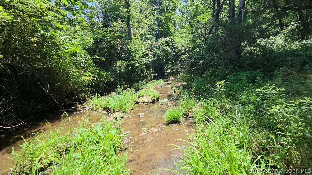 90 Acres M And M Ranch Lane Property Photo 5