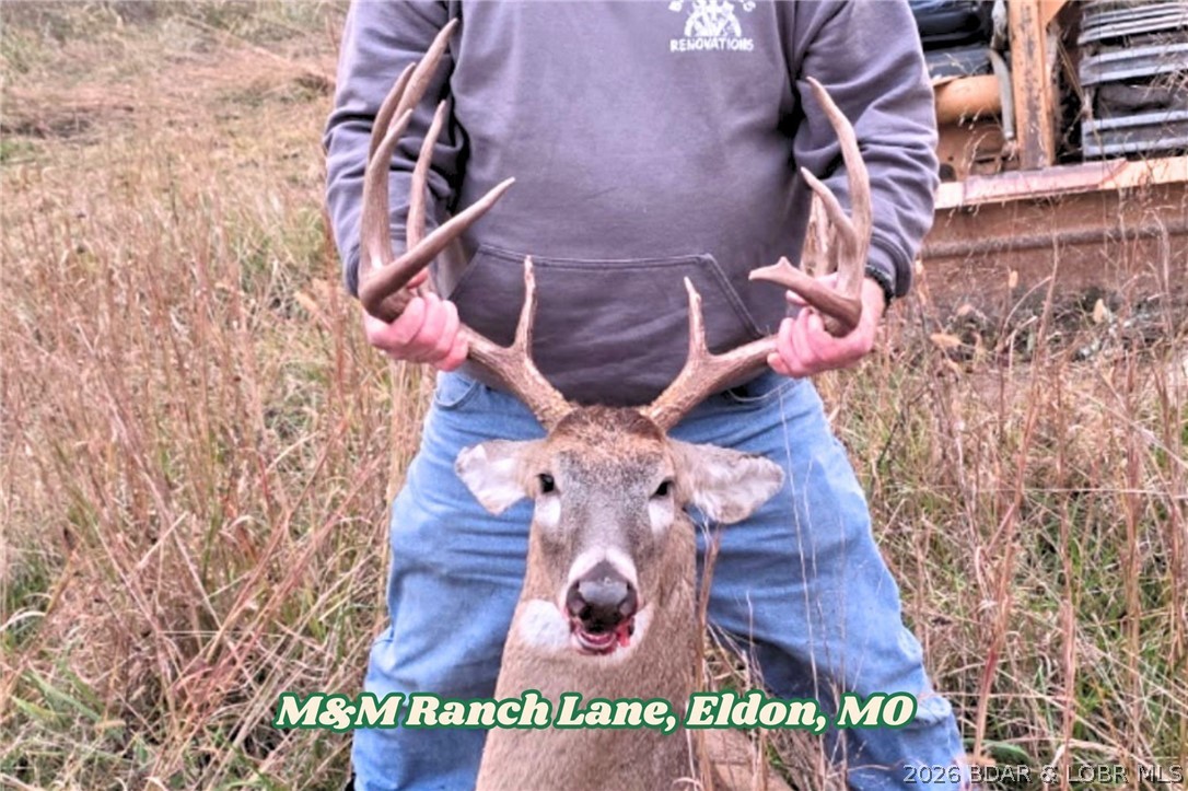 90 Acres M And M Ranch Lane Property Photo 8