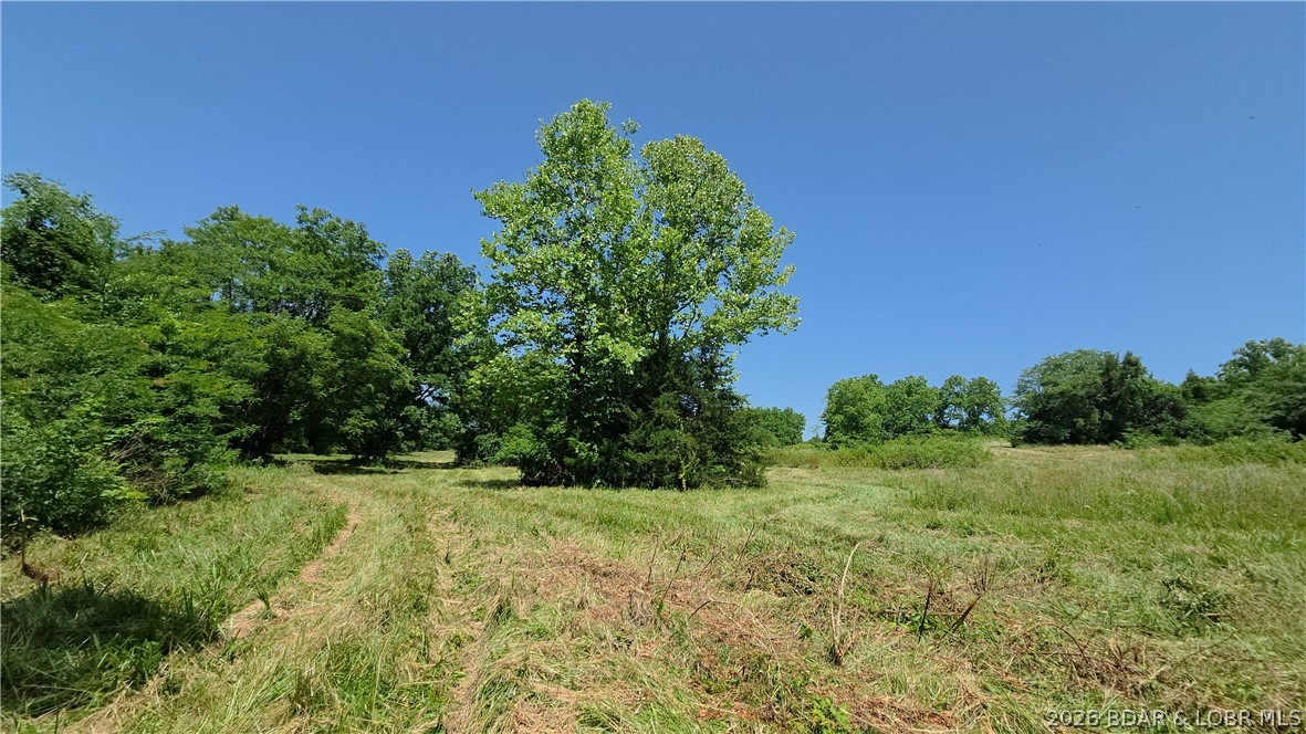90 Acres M And M Ranch Lane Property Photo 11