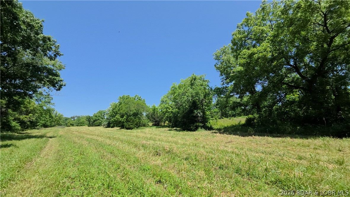 90 Acres M And M Ranch Lane Property Photo 12