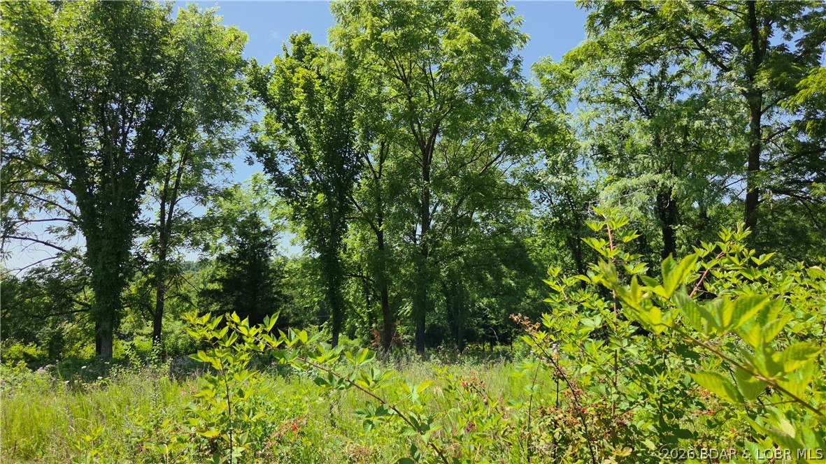 90 Acres M And M Ranch Lane Property Photo 14