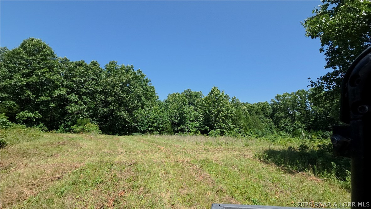 90 Acres M And M Ranch Lane Property Photo 15
