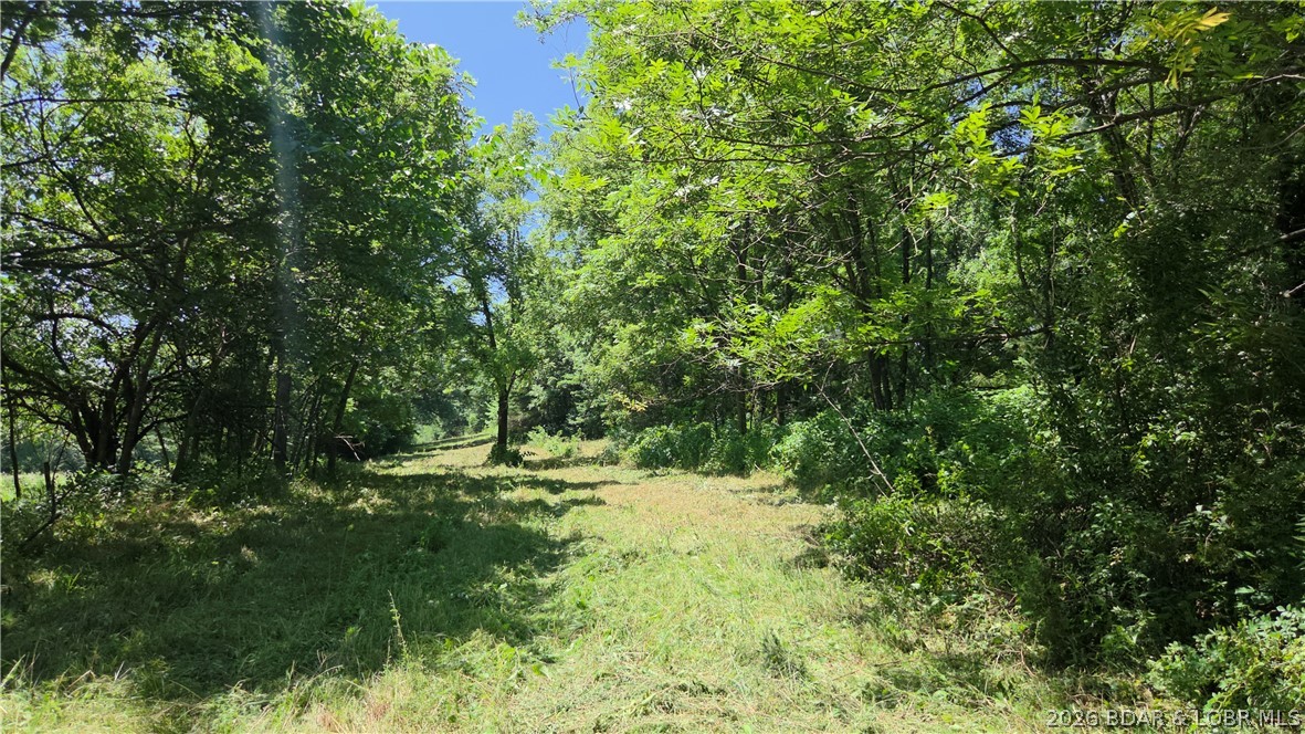 90 Acres M And M Ranch Lane Property Photo 17
