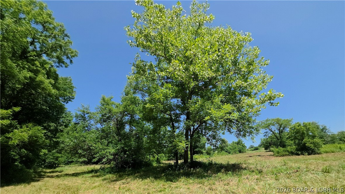 90 Acres M And M Ranch Lane Property Photo 18