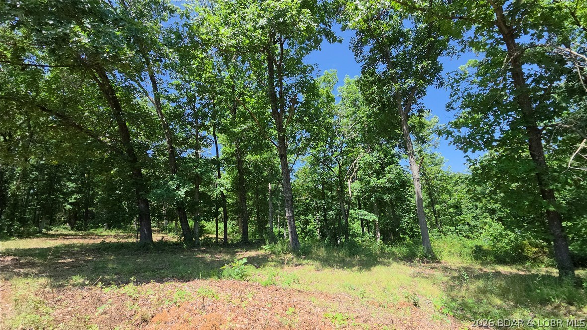 90 Acres M And M Ranch Lane Property Photo 19