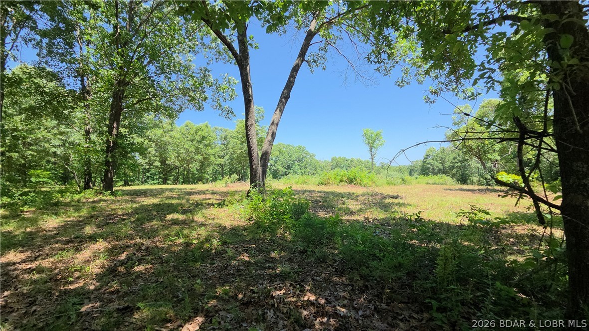 90 Acres M And M Ranch Lane Property Photo 20