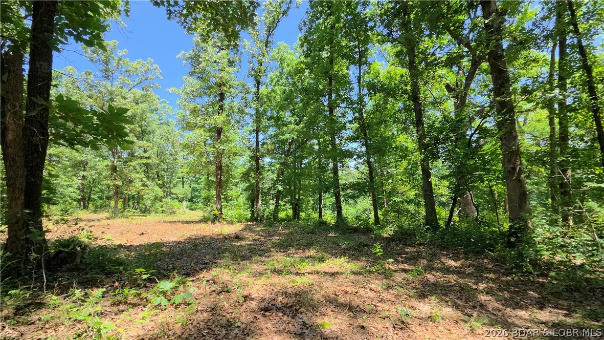 90 Acres M And M Ranch Lane Property Photo 21