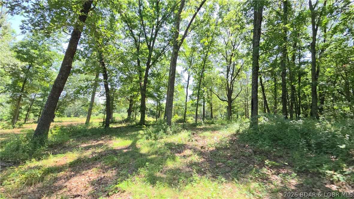 90 Acres M And M Ranch Lane Property Photo 22