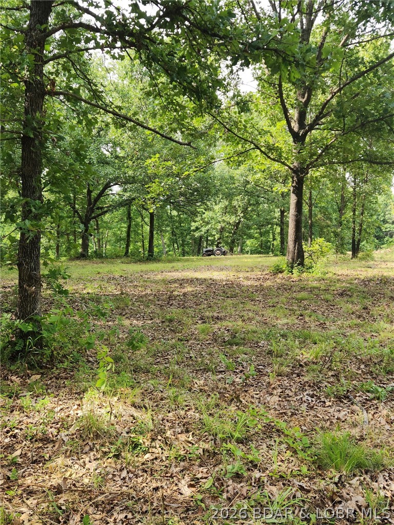 90 Acres M And M Ranch Lane Property Photo 23