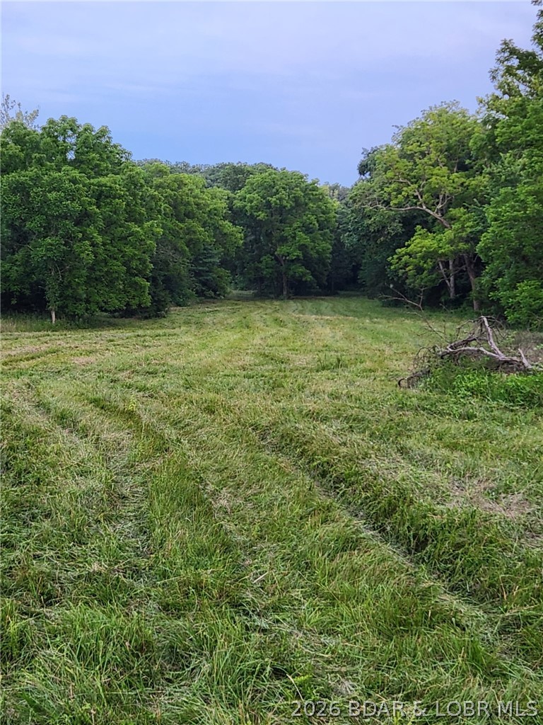 90 Acres M And M Ranch Lane Property Photo 24