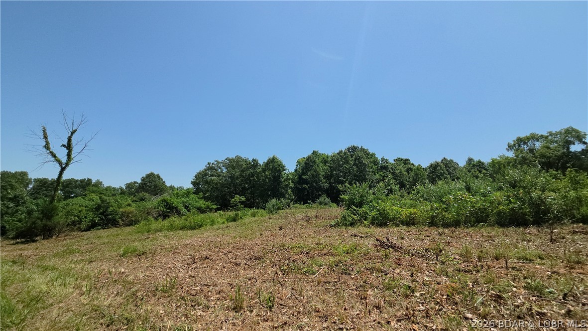 90 Acres M And M Ranch Lane Property Photo 26