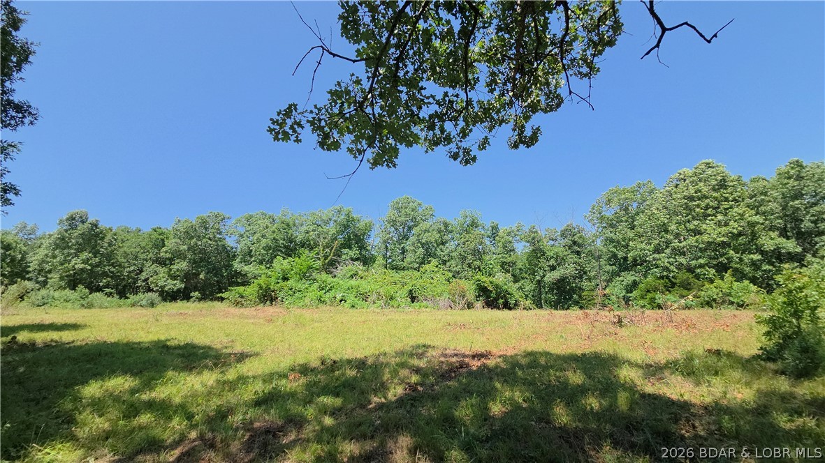 90 Acres M And M Ranch Lane Property Photo 28