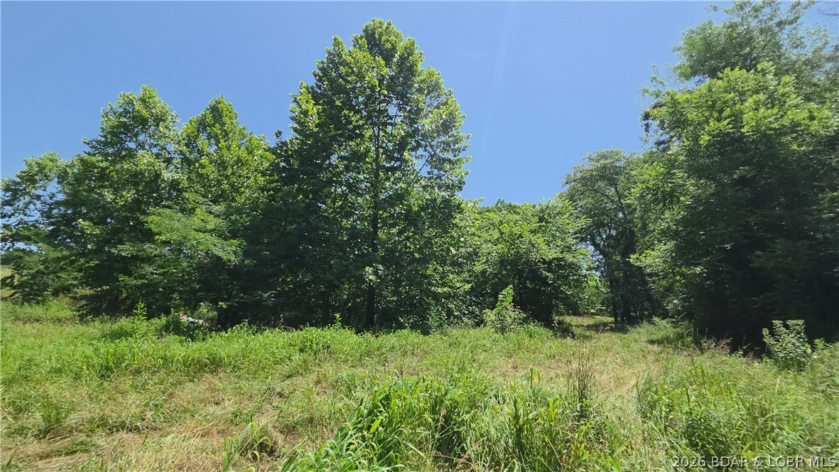 90 Acres M And M Ranch Lane Property Photo 30