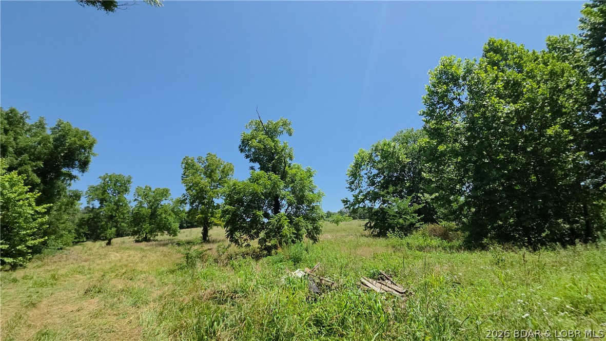 90 Acres M And M Ranch Lane Property Photo 31