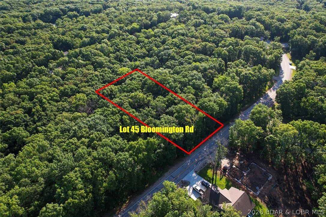 45 Bloomington Drive Property Photo 3