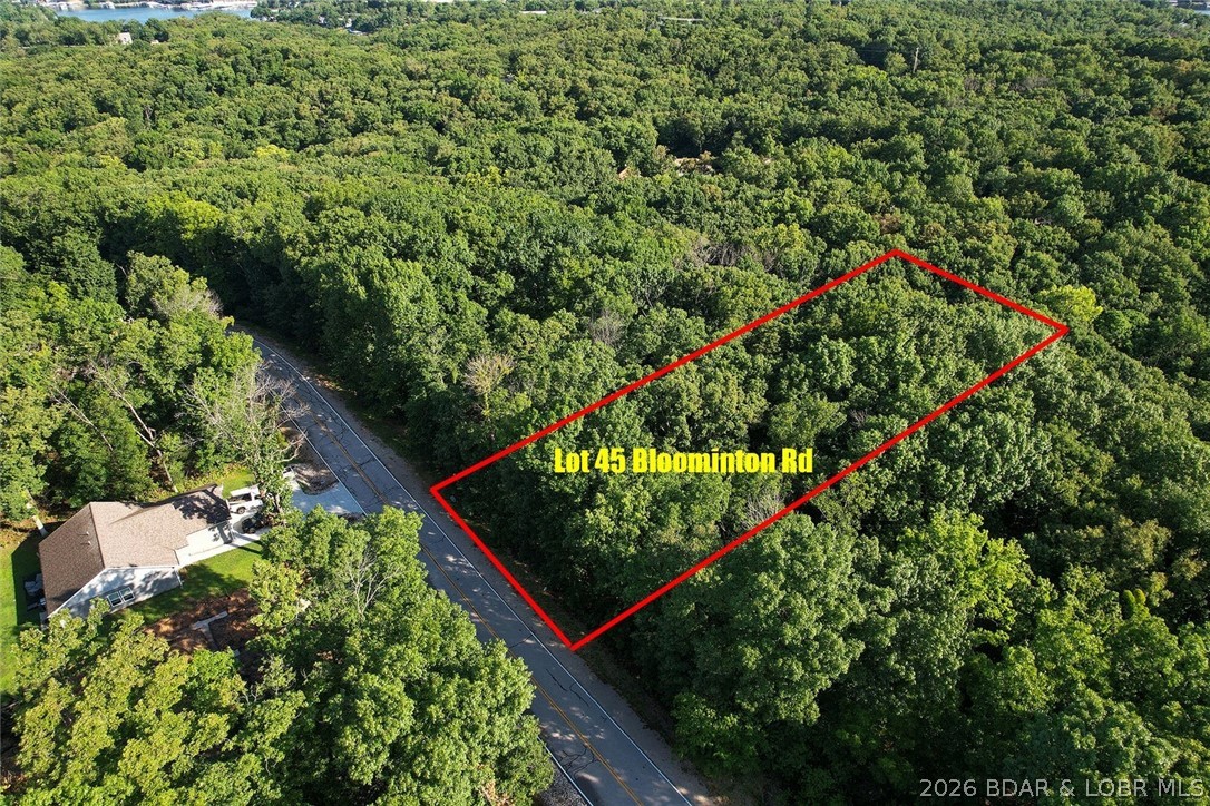 45 Bloomington Drive Property Photo 7