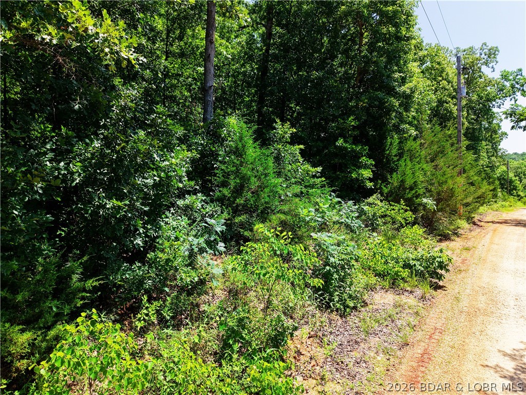Lot 106 Apache Lane Property Photo 1
