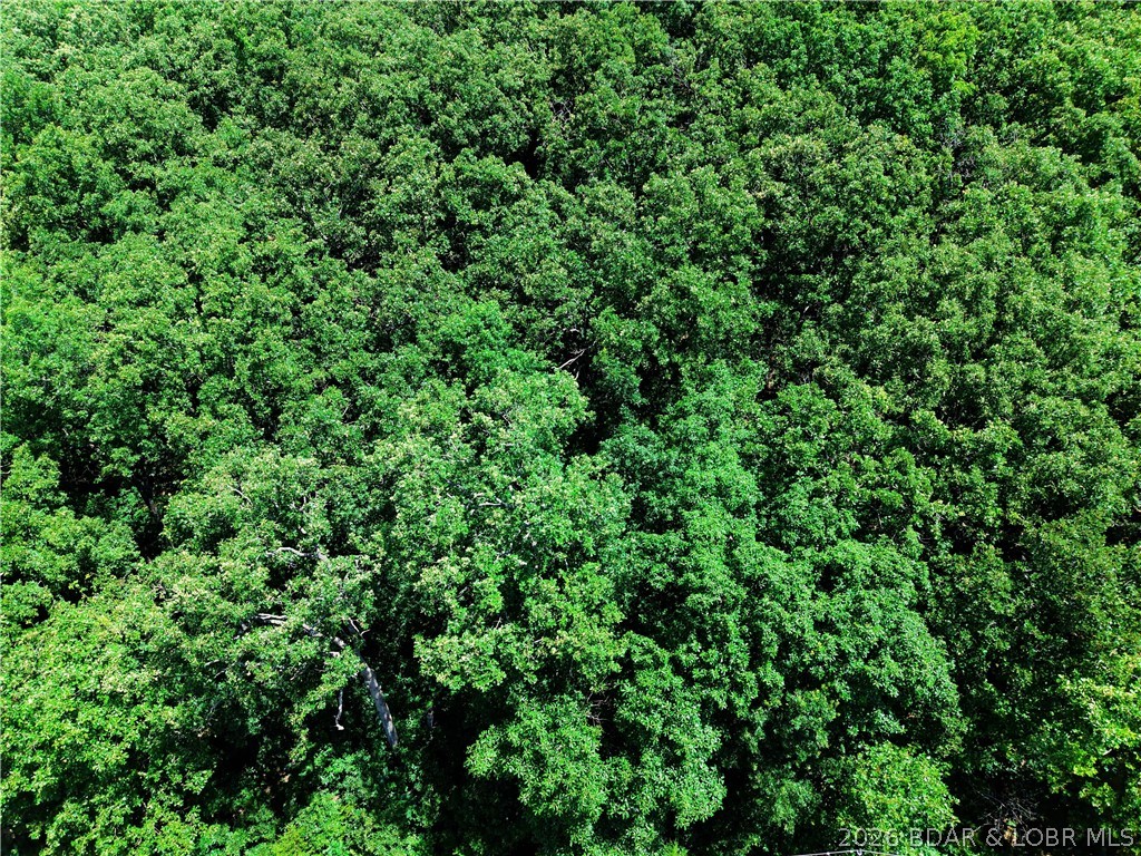 Lot 106 Apache Lane Property Photo 4