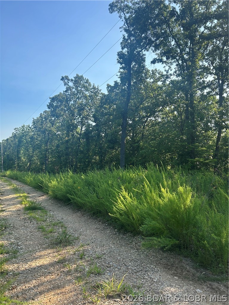 25107 Smithview Lane Property Photo 2