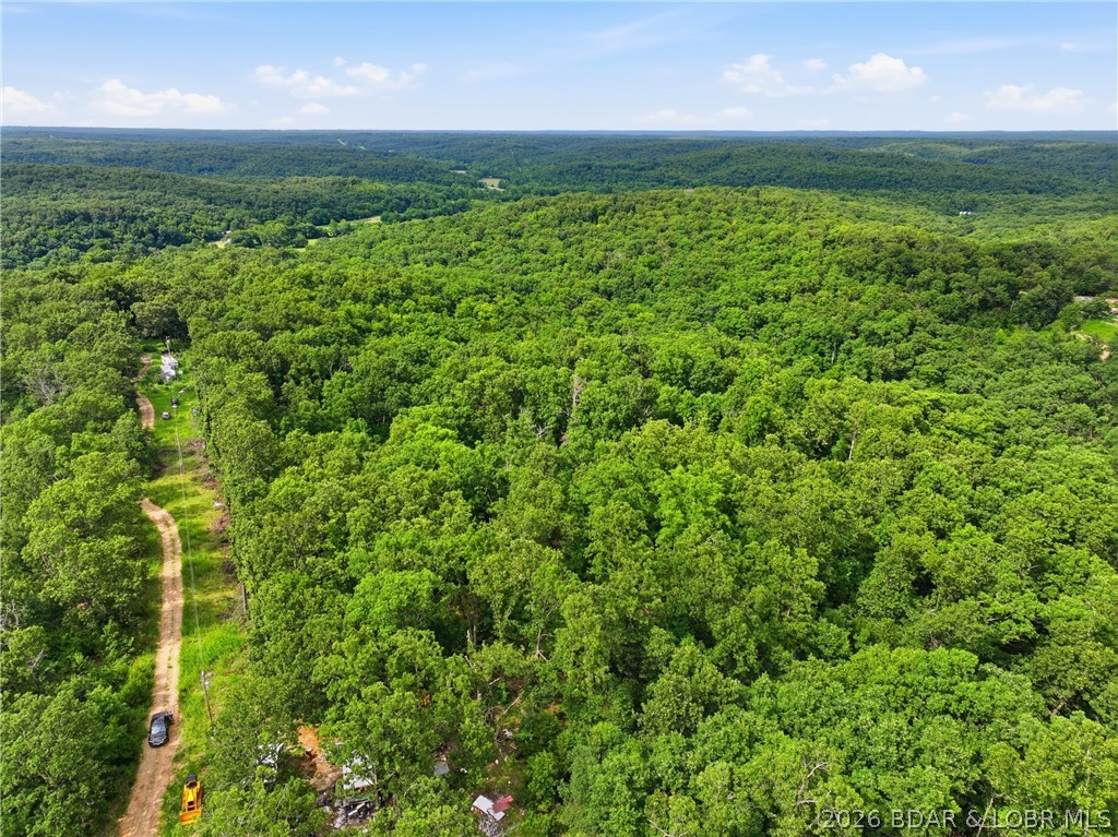 25107 Smithview Lane Property Photo 4
