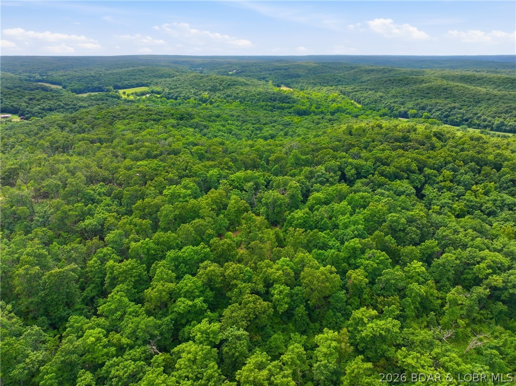 25107 Smithview Lane Property Photo 5
