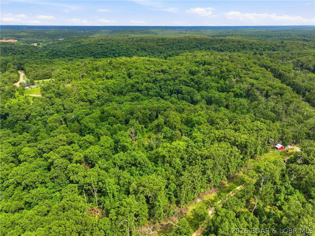 25107 Smithview Lane Property Photo 6