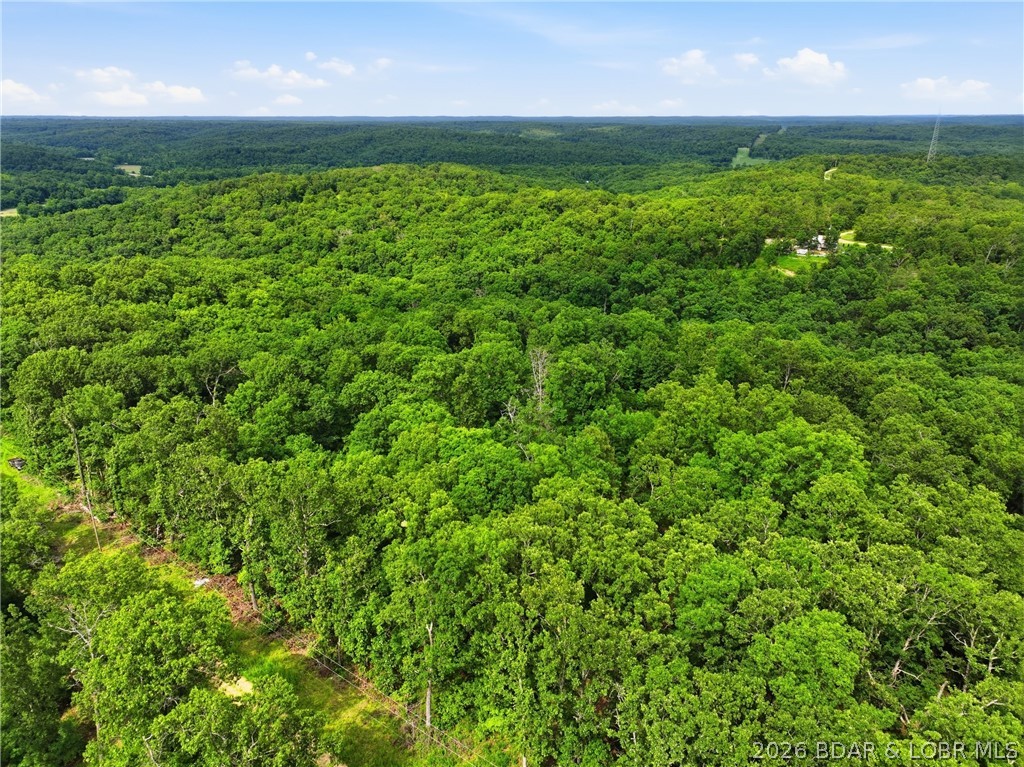 25107 Smithview Lane Property Photo 9
