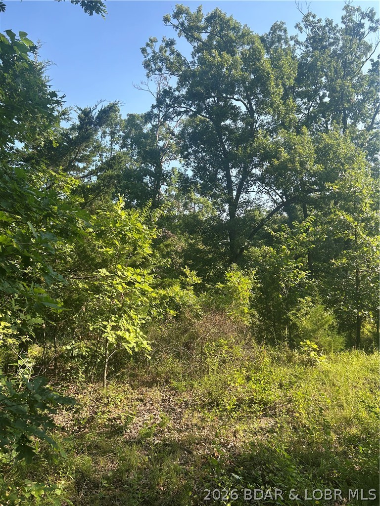 25107 Smithview Lane Property Photo 12