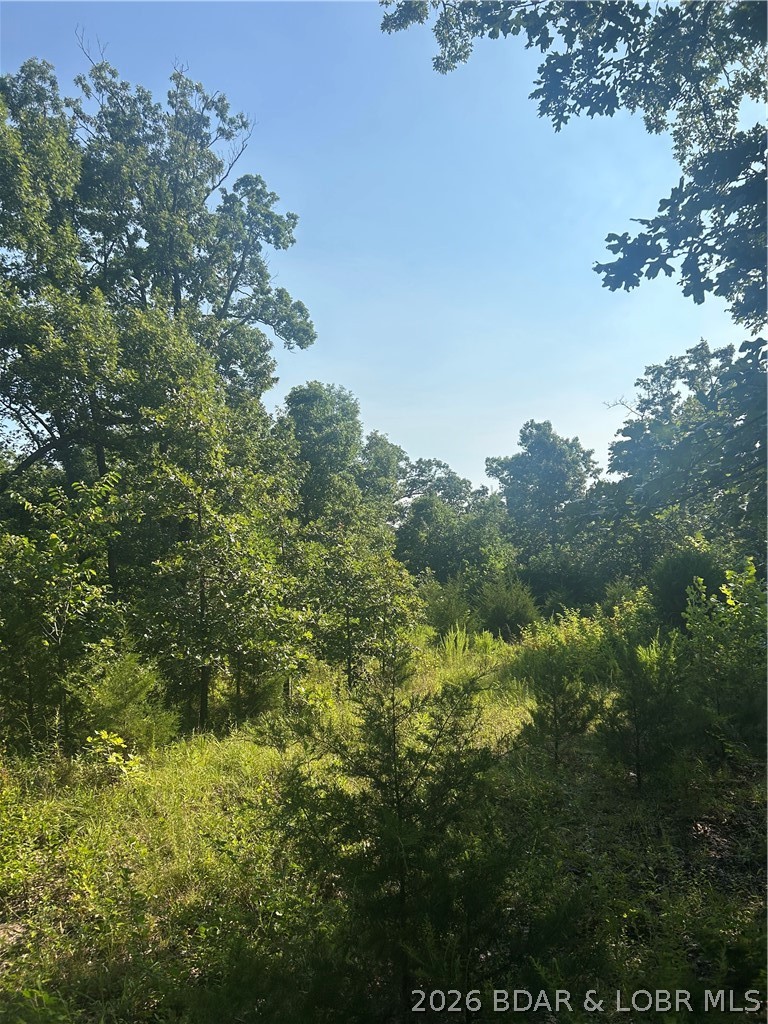 25107 Smithview Lane Property Photo 13