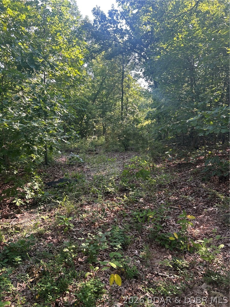 25107 Smithview Lane Property Photo 14
