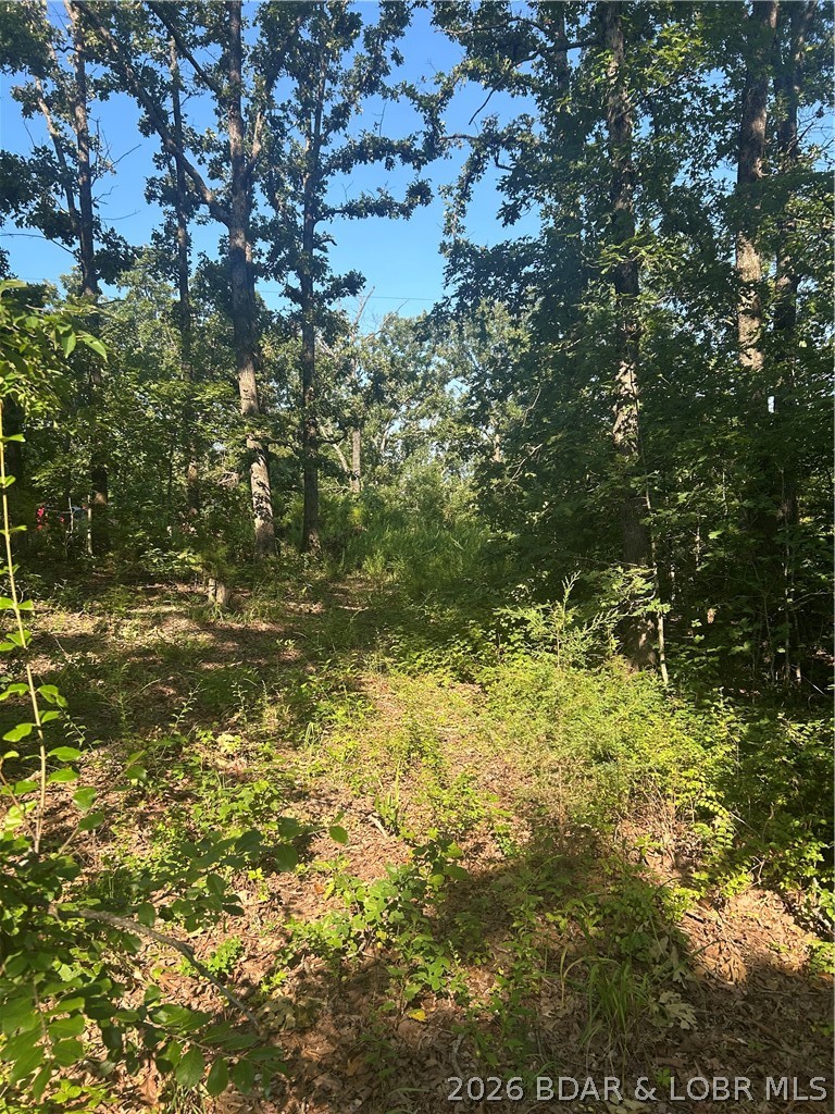 25107 Smithview Lane Property Photo 15