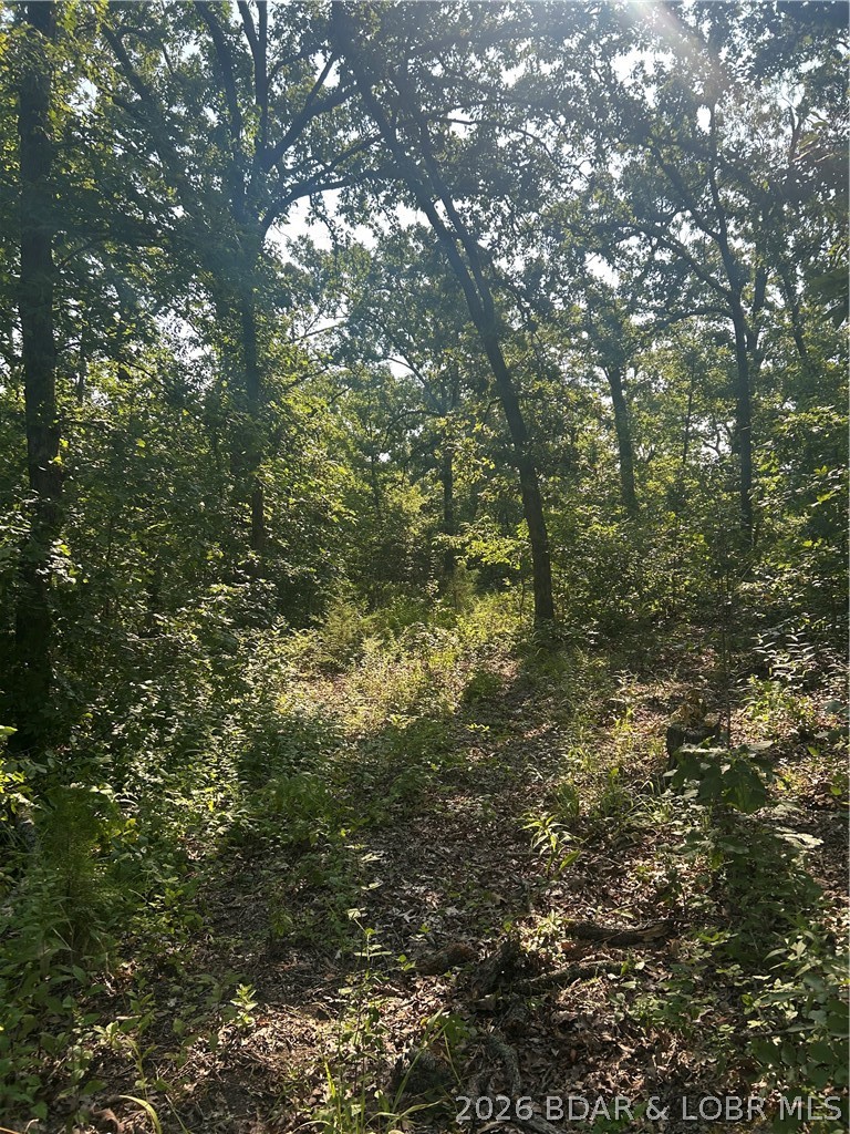 25107 Smithview Lane Property Photo 16
