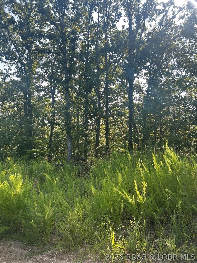 25107 Smithview Lane Property Photo 17