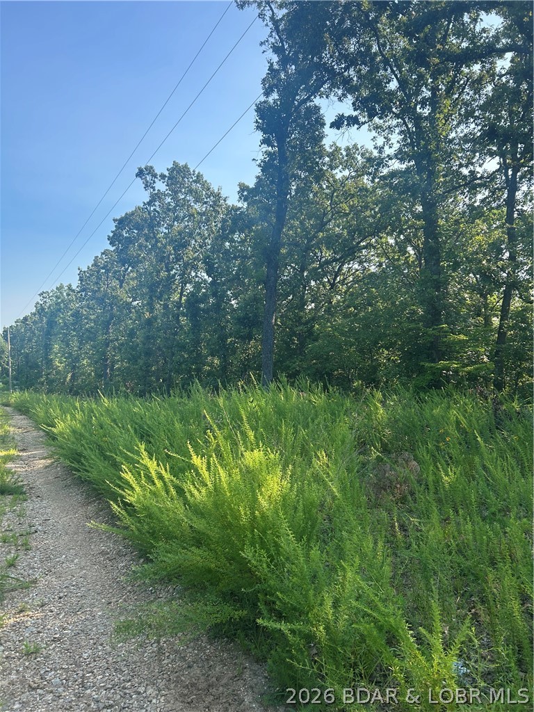 25107 Smithview Lane Property Photo 18