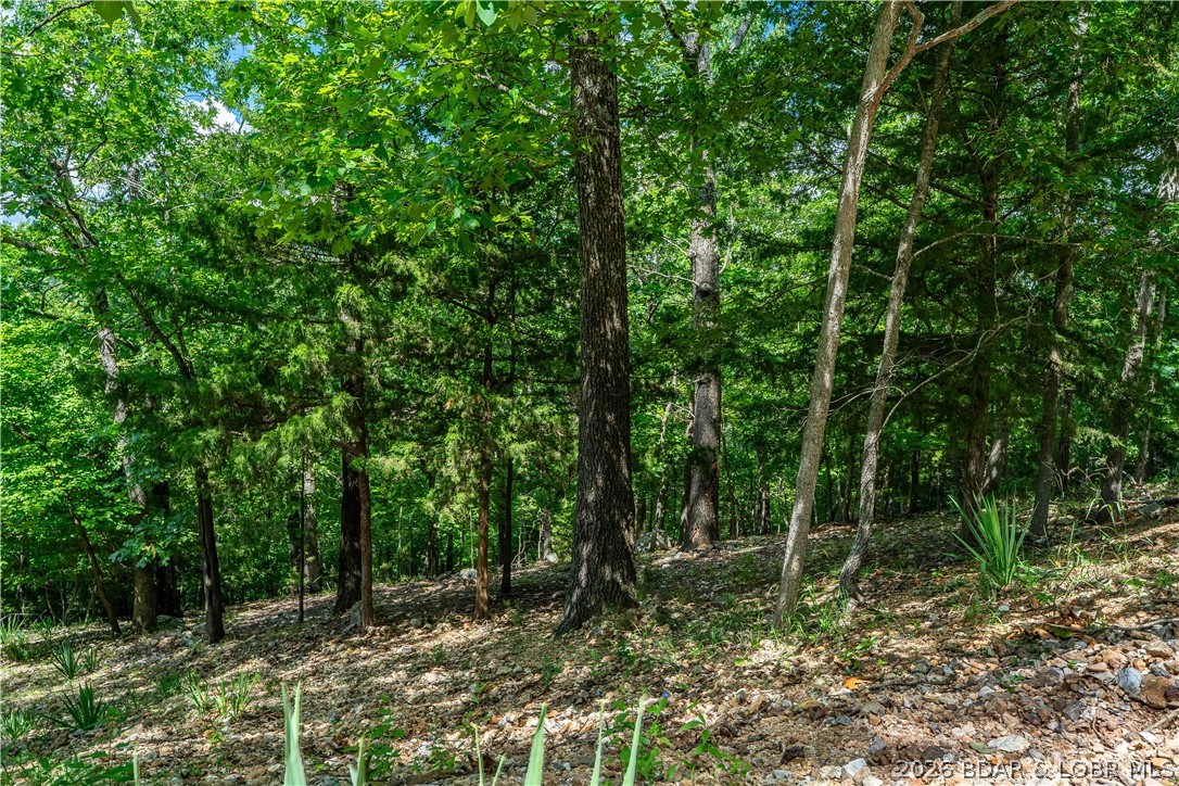 30 Berkshire Circle Property Photo 44