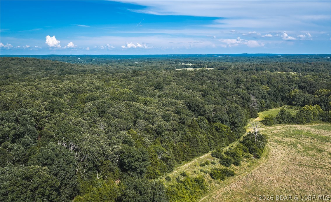 2436 Highway 17 Property Photo 4