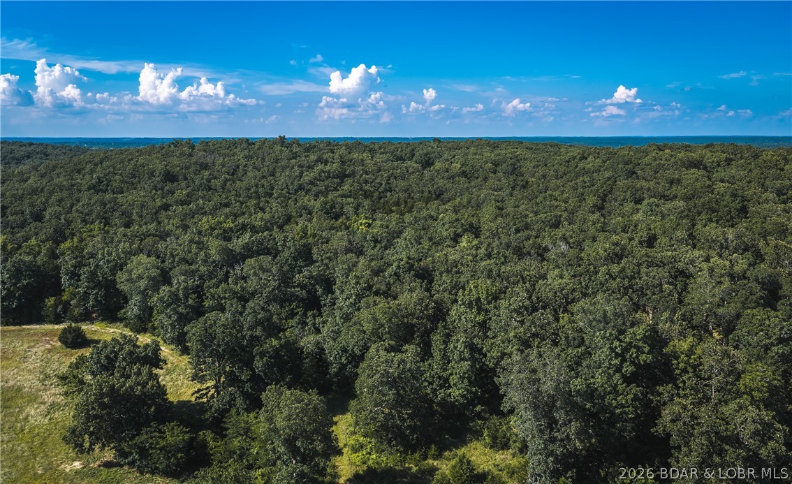 2436 Highway 17 Property Photo 5