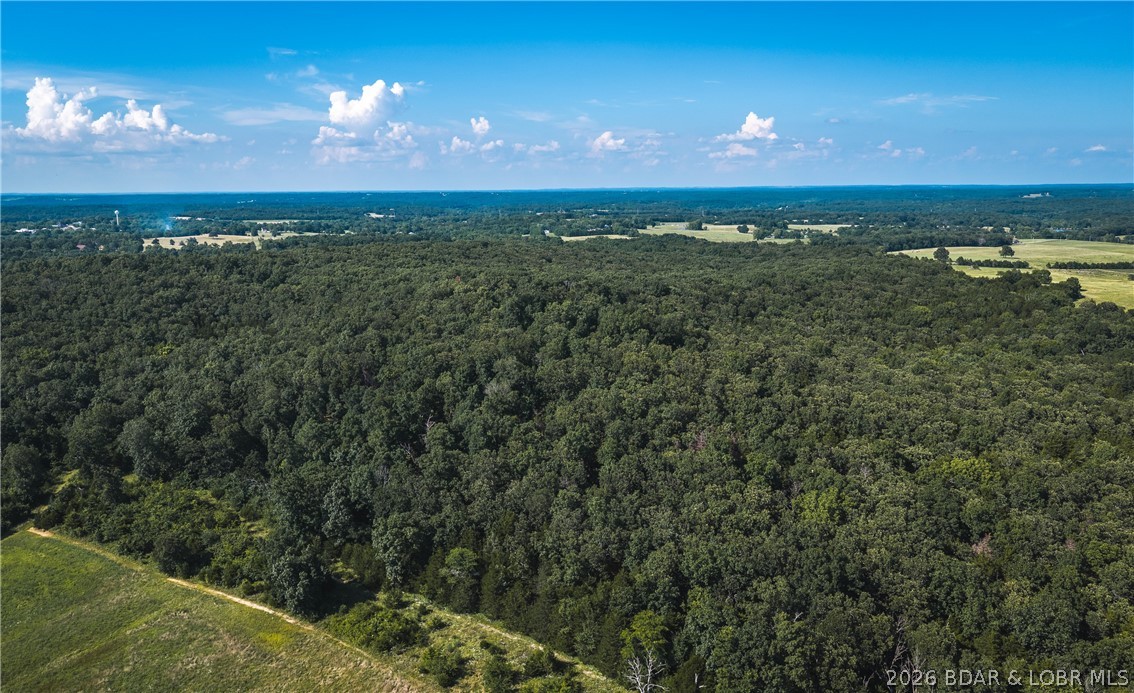 2436 Highway 17 Property Photo 7