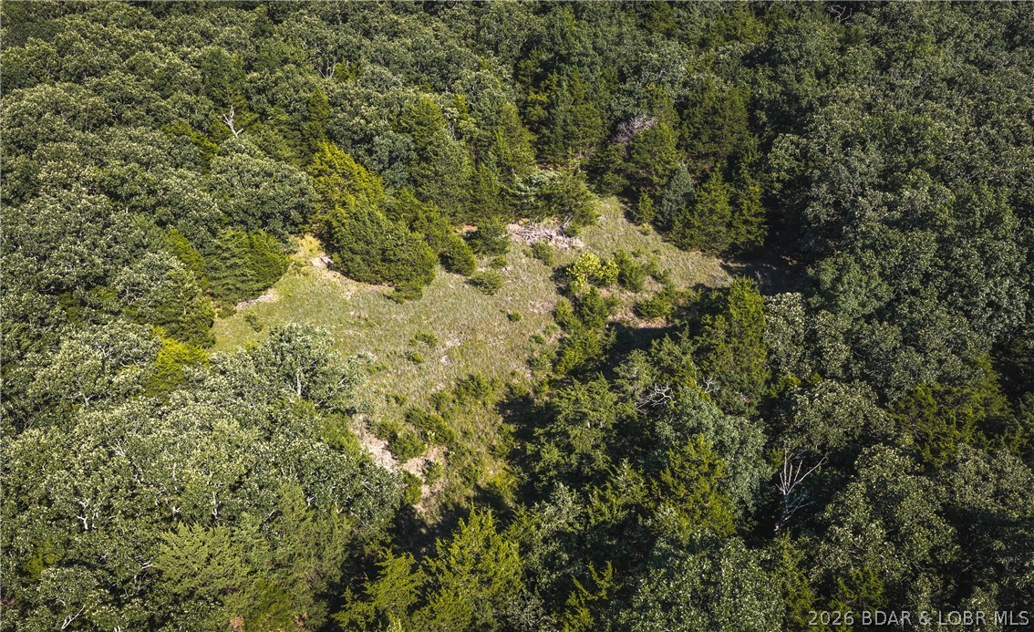2436 Highway 17 Property Photo 12