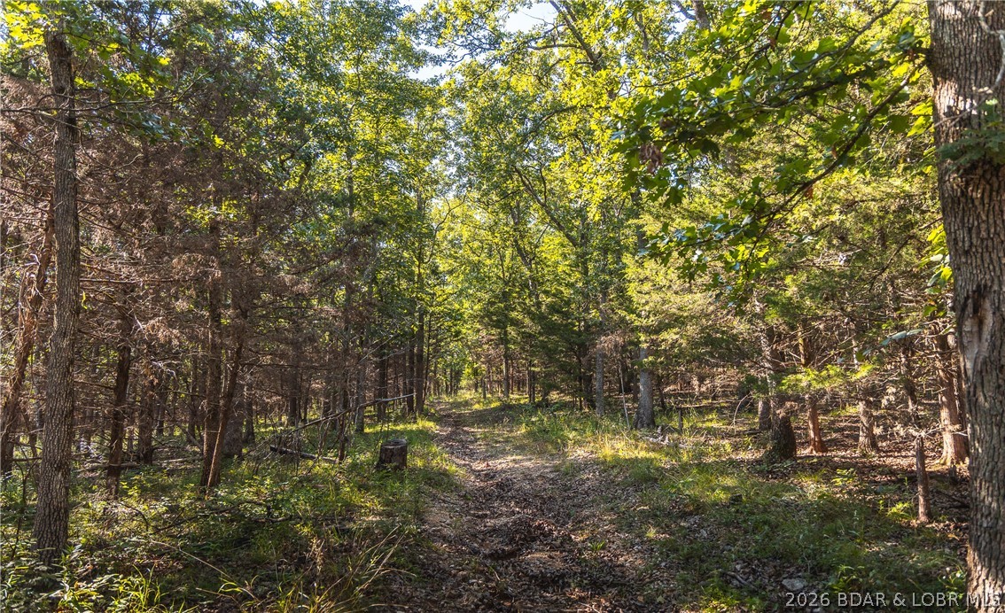 2436 Highway 17 Property Photo 24