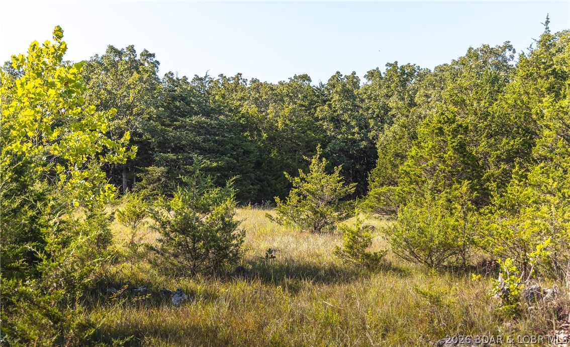 2436 Highway 17 Property Photo 27