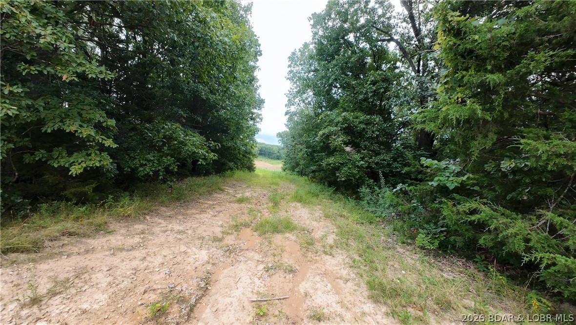 Tract 5 Greystone Property Photo 2