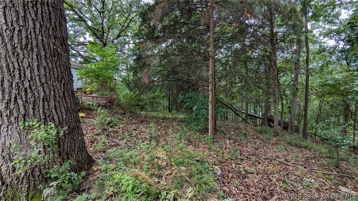 223 Fork Heights Drive Property Photo 8